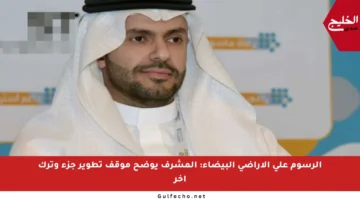 الرسوم على الأراضي البيضاء: المشرف يوضح موقف تطوير جزء وترك آخر